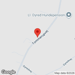 Tommerupvej 77, 5492 Vissenbjerg